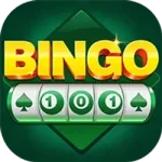 Bingo 101