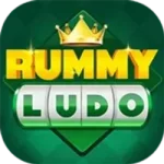 Rummy Ludo